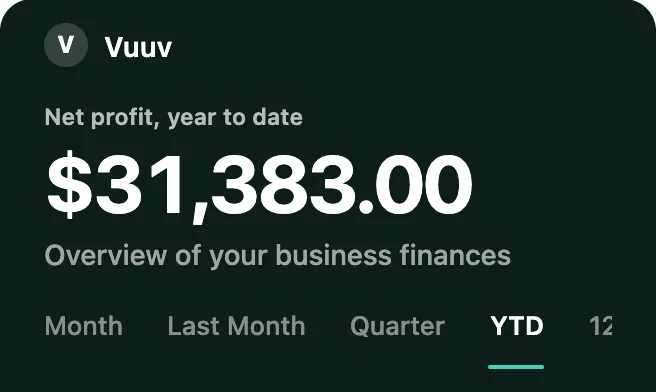 The Vuuv dashboard: net profit for the year, with income and expenses